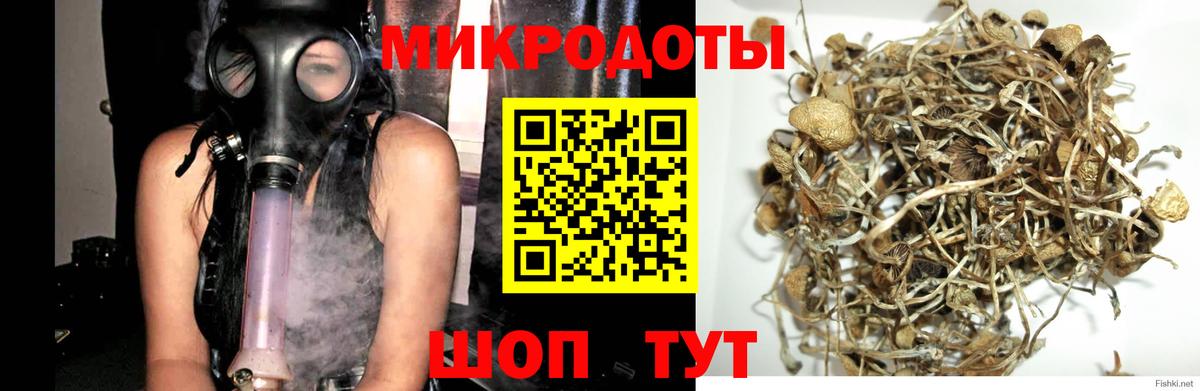 Галлюциногенные грибы ЛСД  Вход с VPN  Анжеро-Судженск 